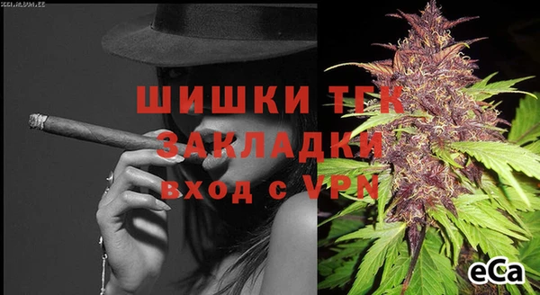 эйфоретик Аркадак