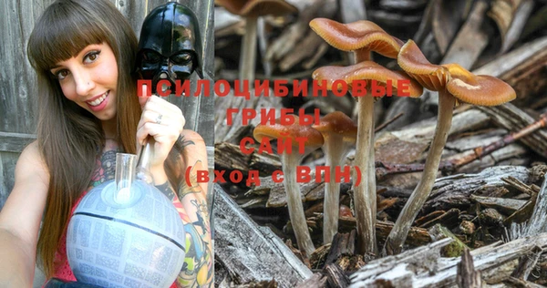 PSILOCYBIN Арсеньев